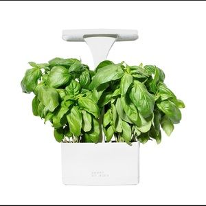 Short Stories LED Indoor Planter